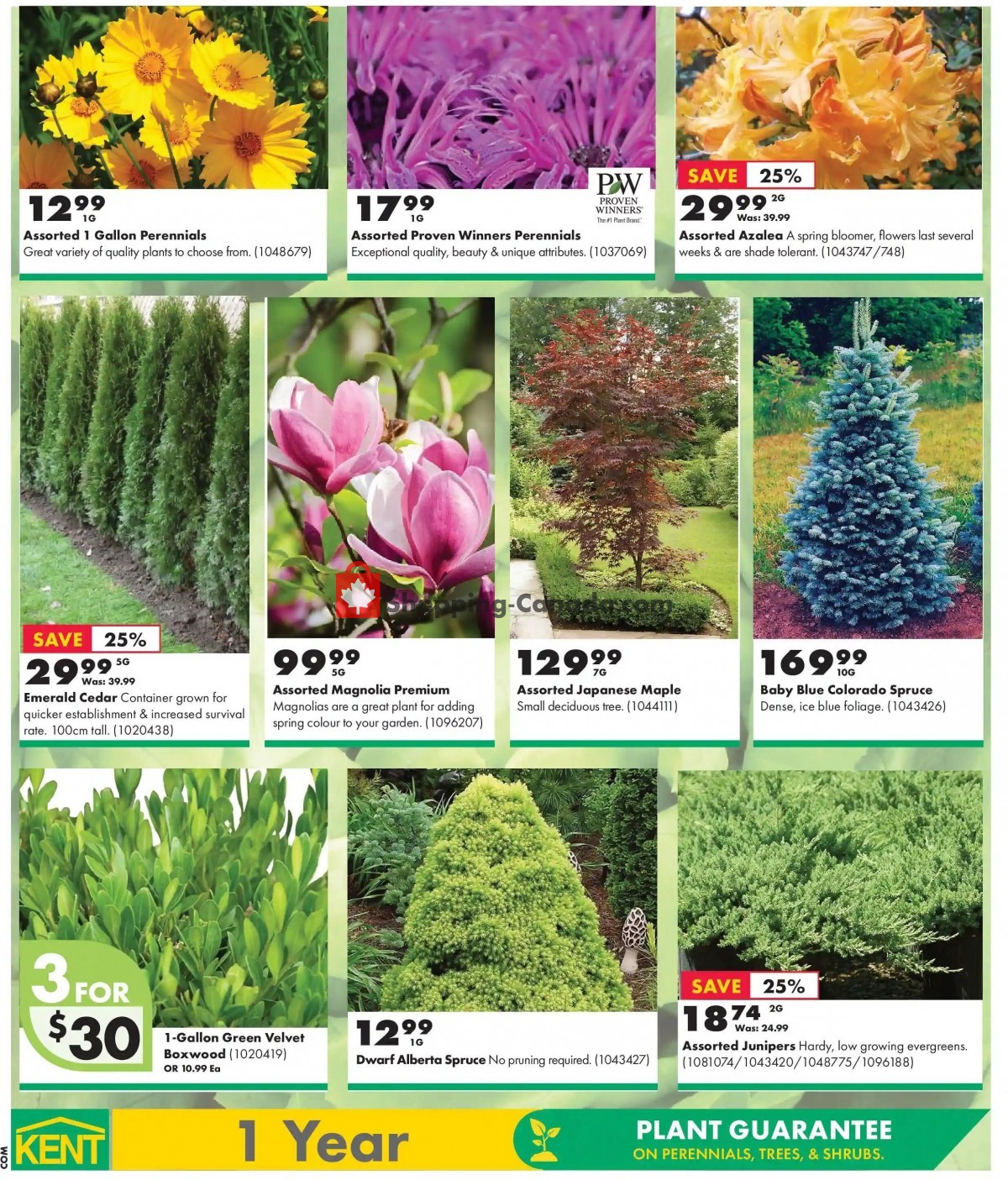 Kent Building Supplies flyer from Thursday May 6, 2021 to Wednesday May 12, 2021 - page 2
