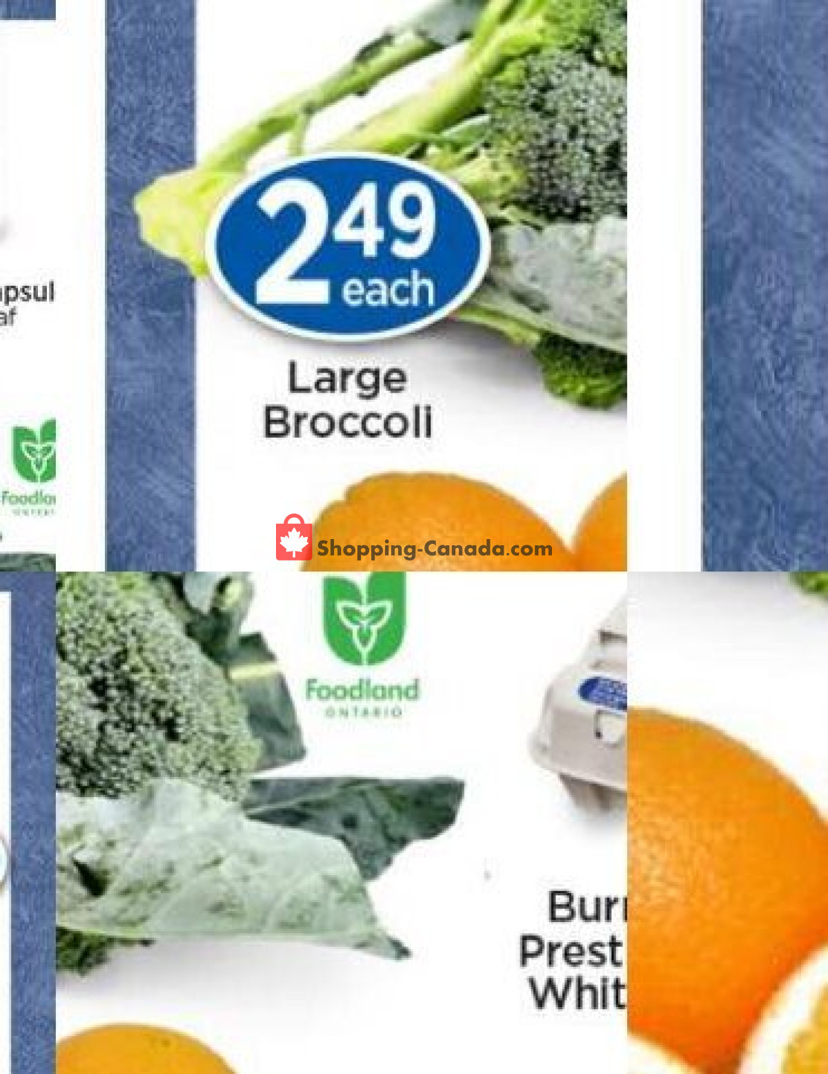Lady York Foods flyer from Tuesday September 1, 2026 to Tuesday October 27, 2026 - page 3