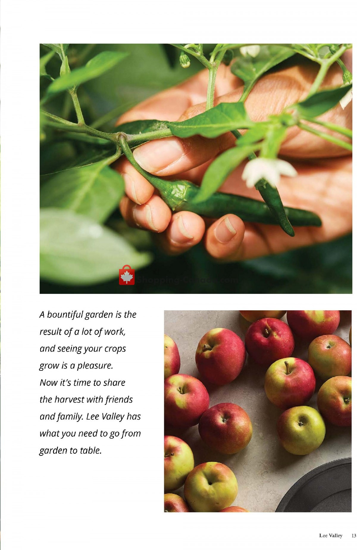 Lee Valley Tools Ltd flyer from Monday August 1, 2022 to Friday September 30, 2022 - page 13