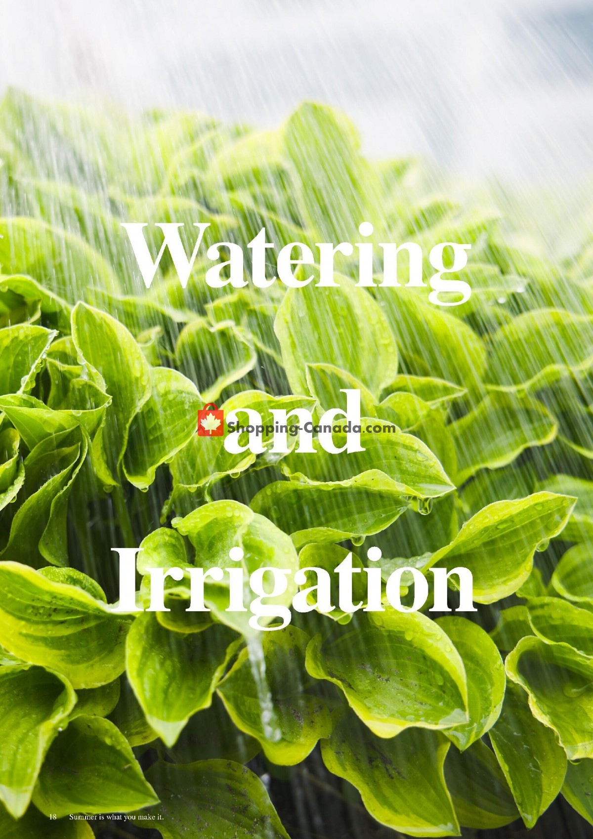 Lee Valley Tools Ltd flyer from Friday July 1, 2022 to Sunday July 31, 2022 - page 18