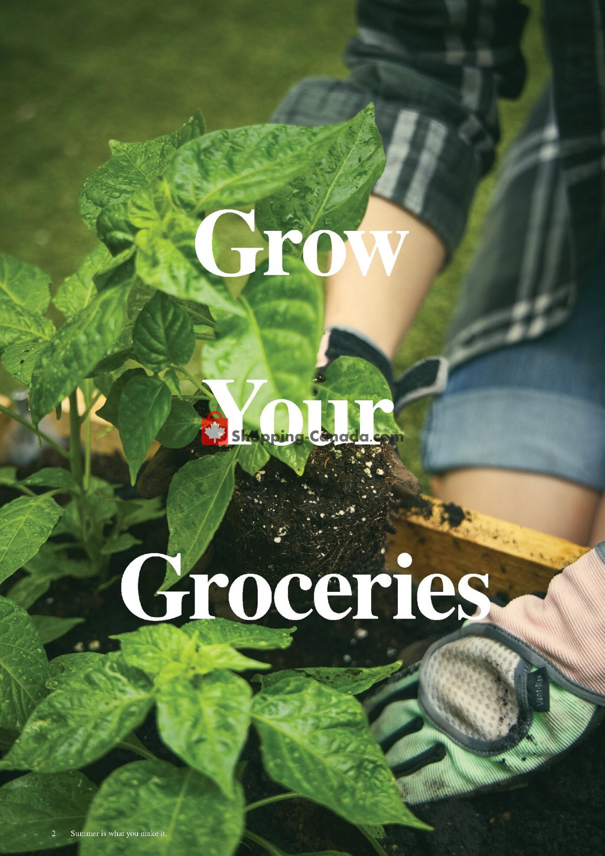 Lee Valley Tools Ltd flyer from Friday July 1, 2022 to Sunday July 31, 2022 - page 2