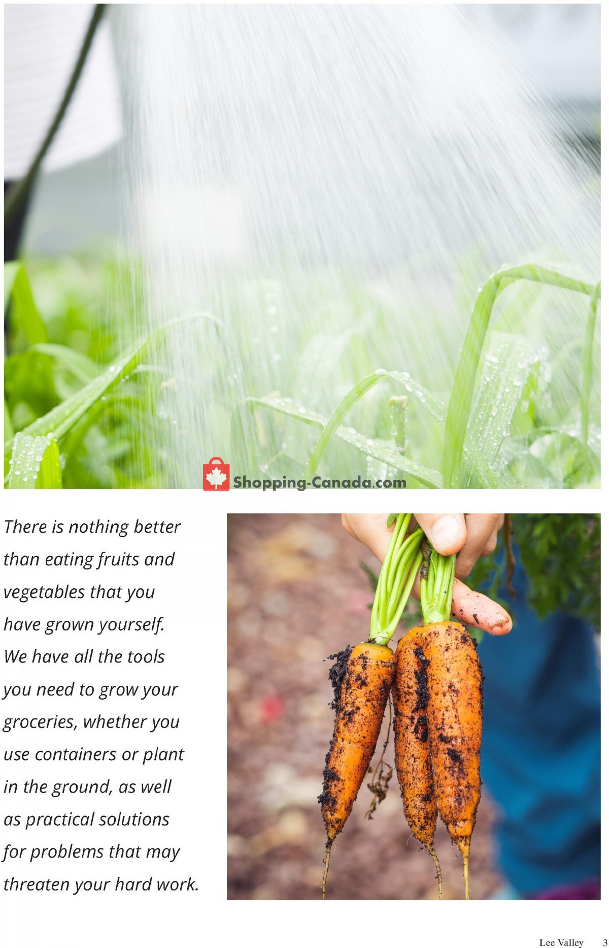 Lee Valley Tools Ltd flyer from Friday July 1, 2022 to Sunday July 31, 2022 - page 3