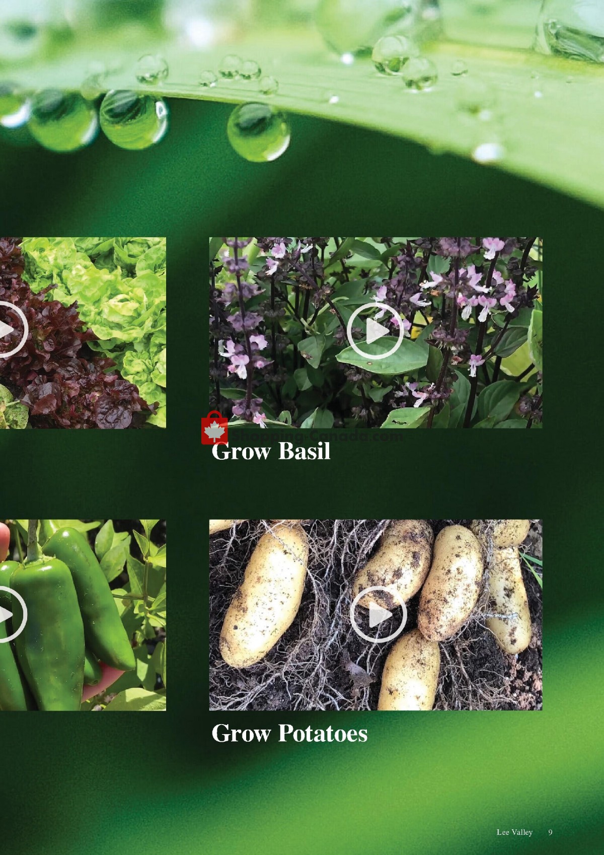 Lee Valley Tools Ltd flyer from Friday July 1, 2022 to Sunday July 31, 2022 - page 9