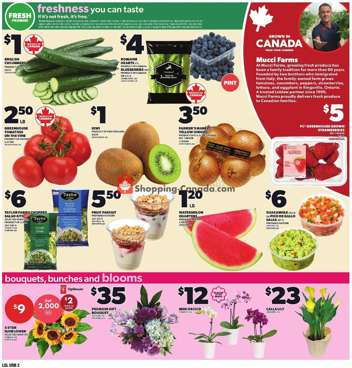 Loblaws flyer from Thursday July 9, 2026 to Wednesday July 15, 2026 - page 16
