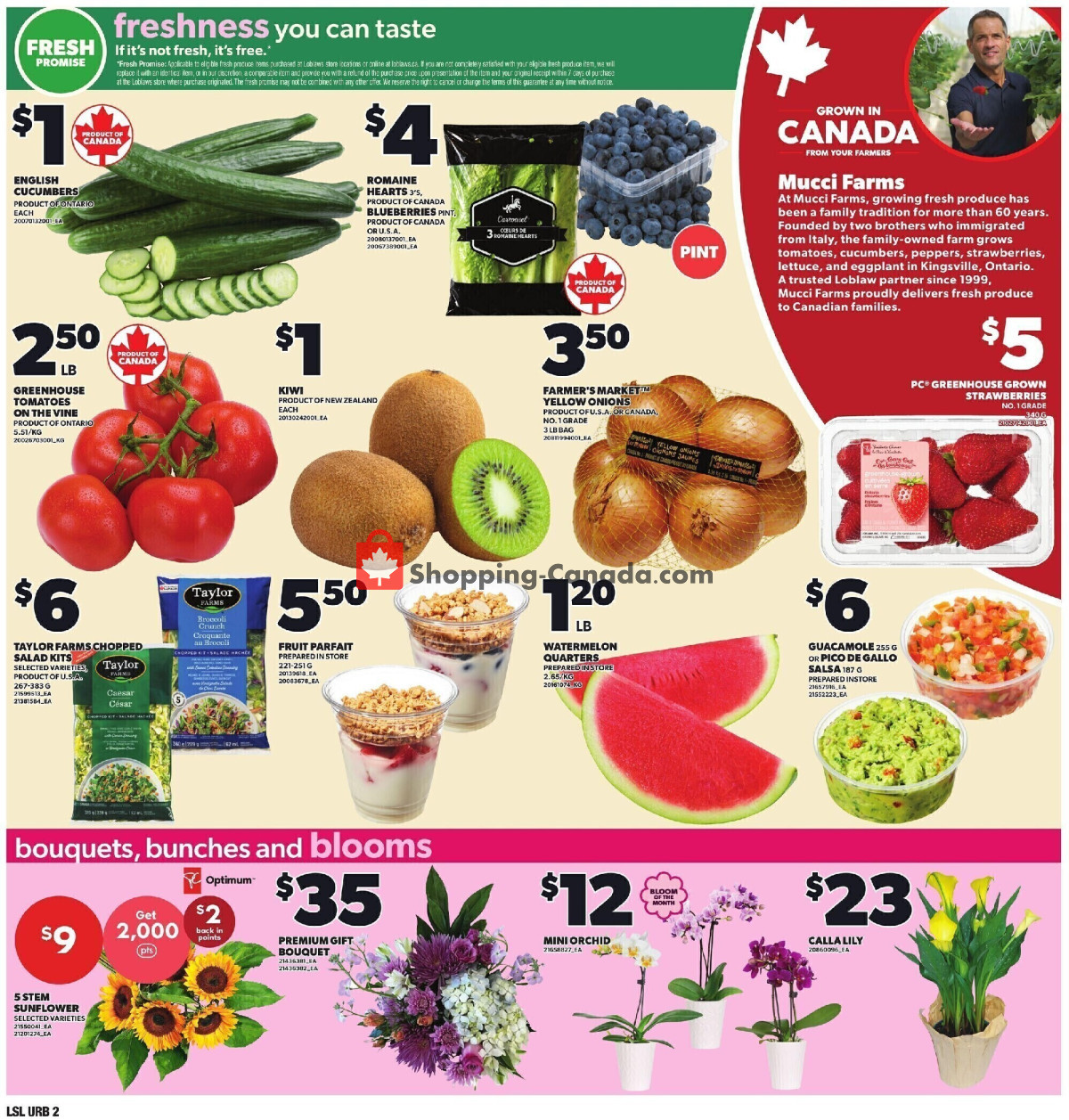 Loblaws flyer from Thursday July 9, 2026 to Wednesday July 15, 2026 - page 18