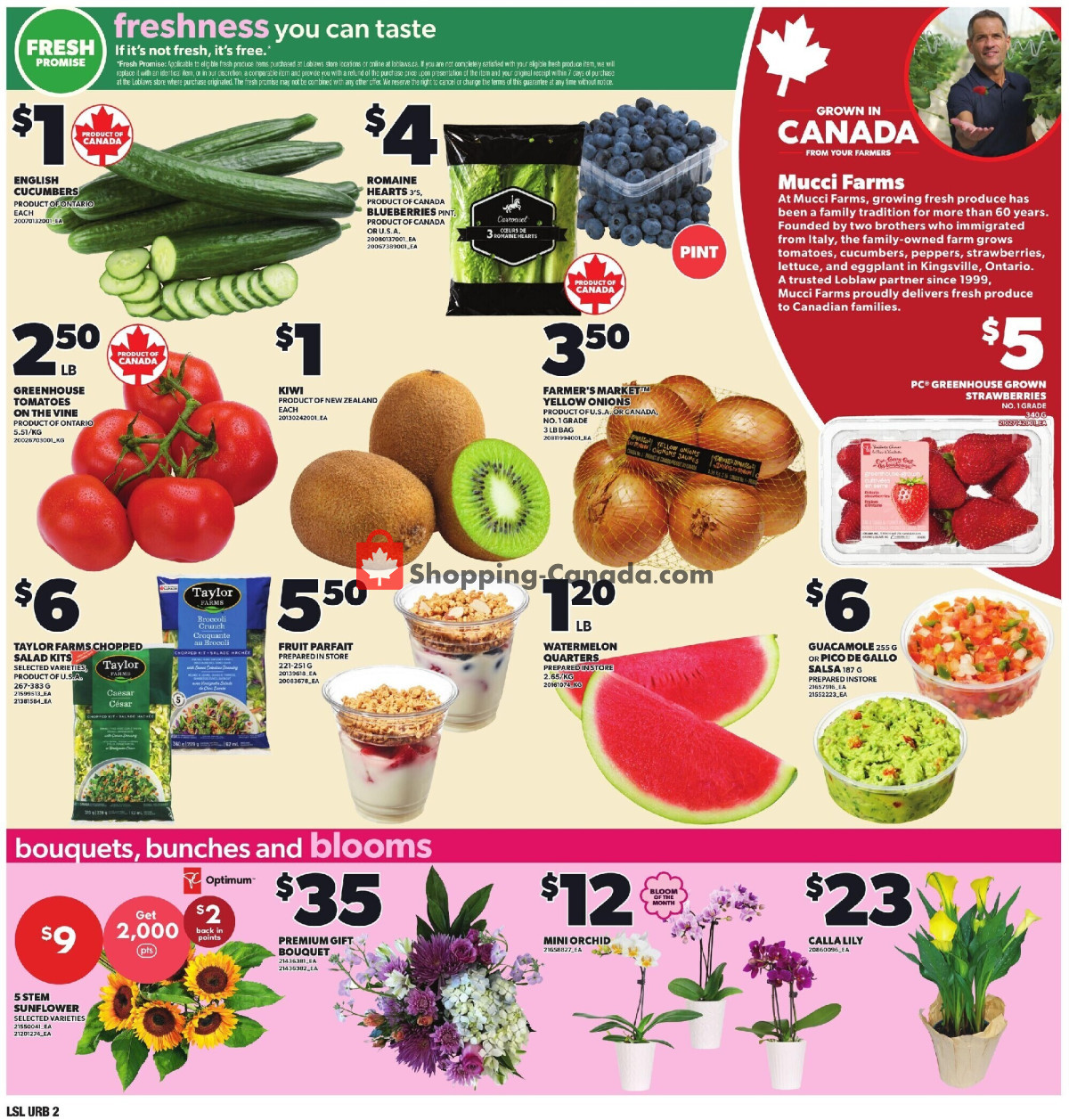 Loblaws flyer from Thursday July 9, 2026 to Wednesday July 15, 2026 - page 6