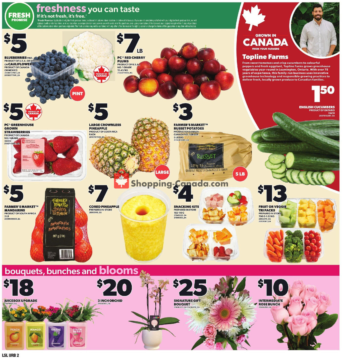 Loblaws flyer from Thursday July 2, 2026 to Wednesday July 8, 2026 - page 10