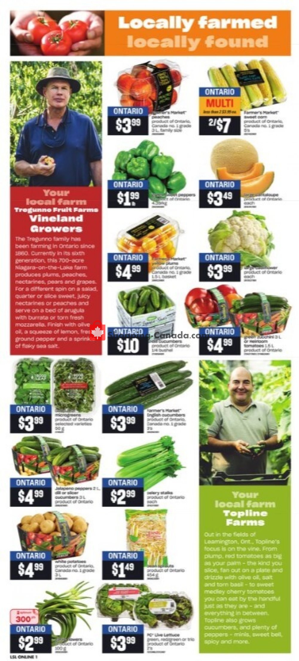 Loblaws flyer from Thursday August 6, 2020 to Wednesday August 12, 2020 - page 5