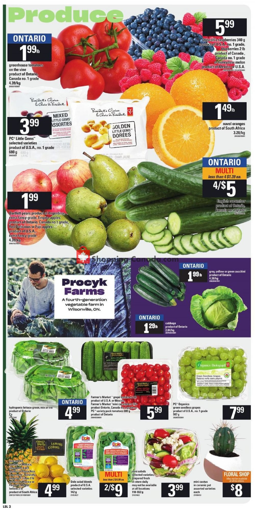 Loblaws flyer from Thursday July 11, 2019 to Wednesday July 17, 2019 - page 4