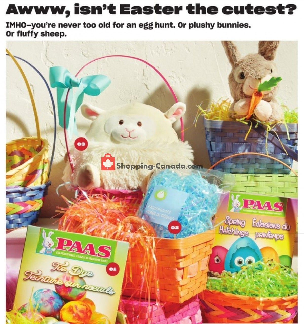 Loblaws flyer from Thursday March 18, 2021 to Wednesday April 21, 2021 - page 13