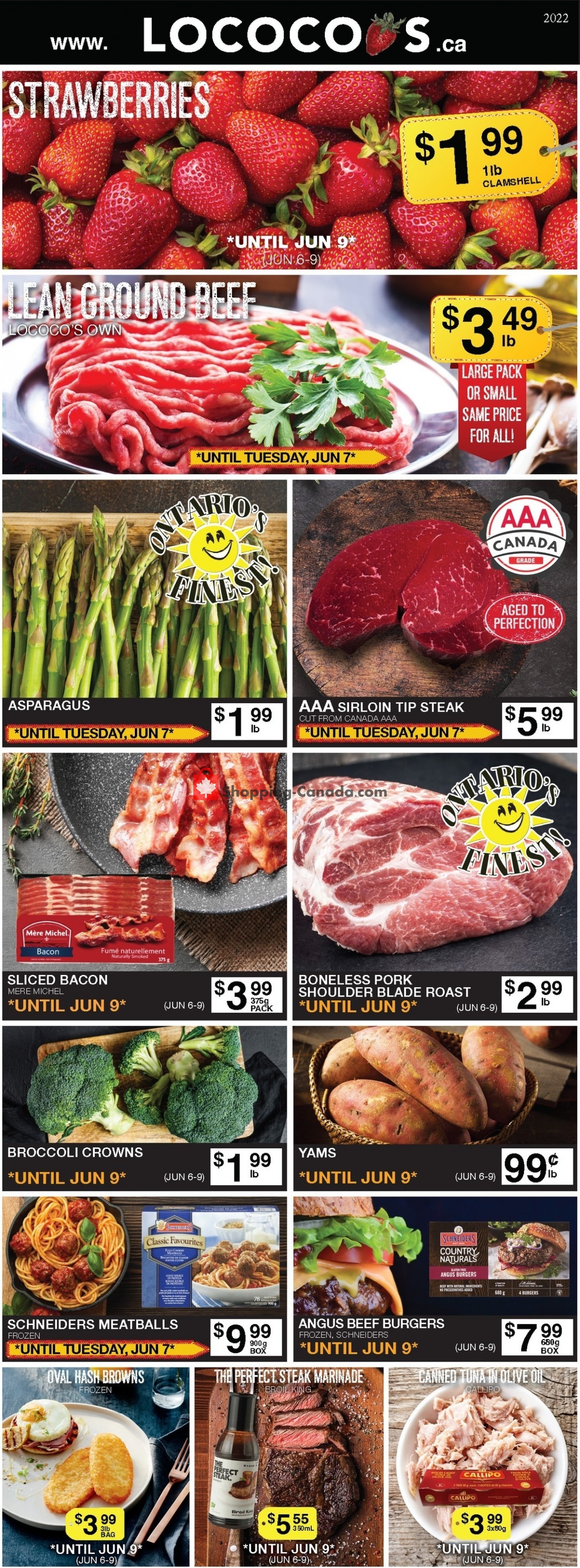 Lococo's Canada, flyer (Hot Deals) June 6 June 9, 2022 Shopping