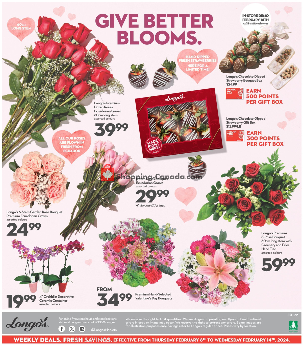 Longo’s flyer from Thursday February 8, 2024 to Wednesday February 14, 2024 - page 13