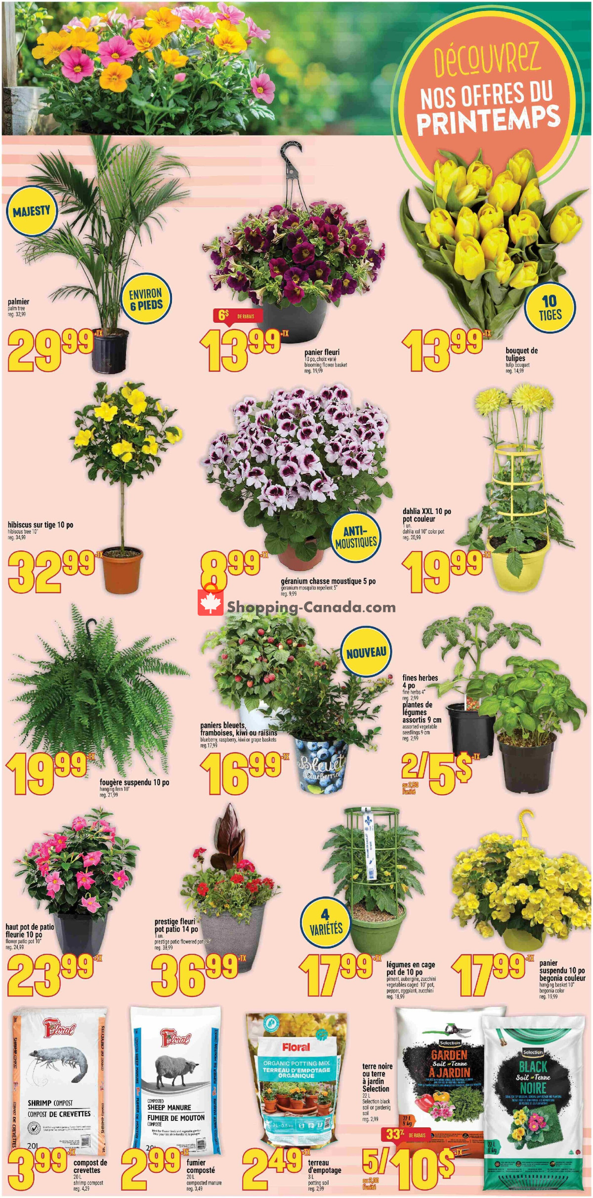 Marché Adonis flyer from Thursday May 14, 2026 to Wednesday May 20, 2026 - page 4
