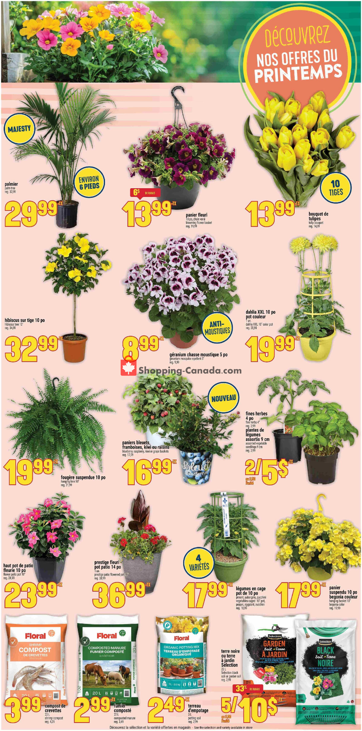 Marché Adonis flyer from Thursday May 21, 2026 to Wednesday May 27, 2026 - page 8