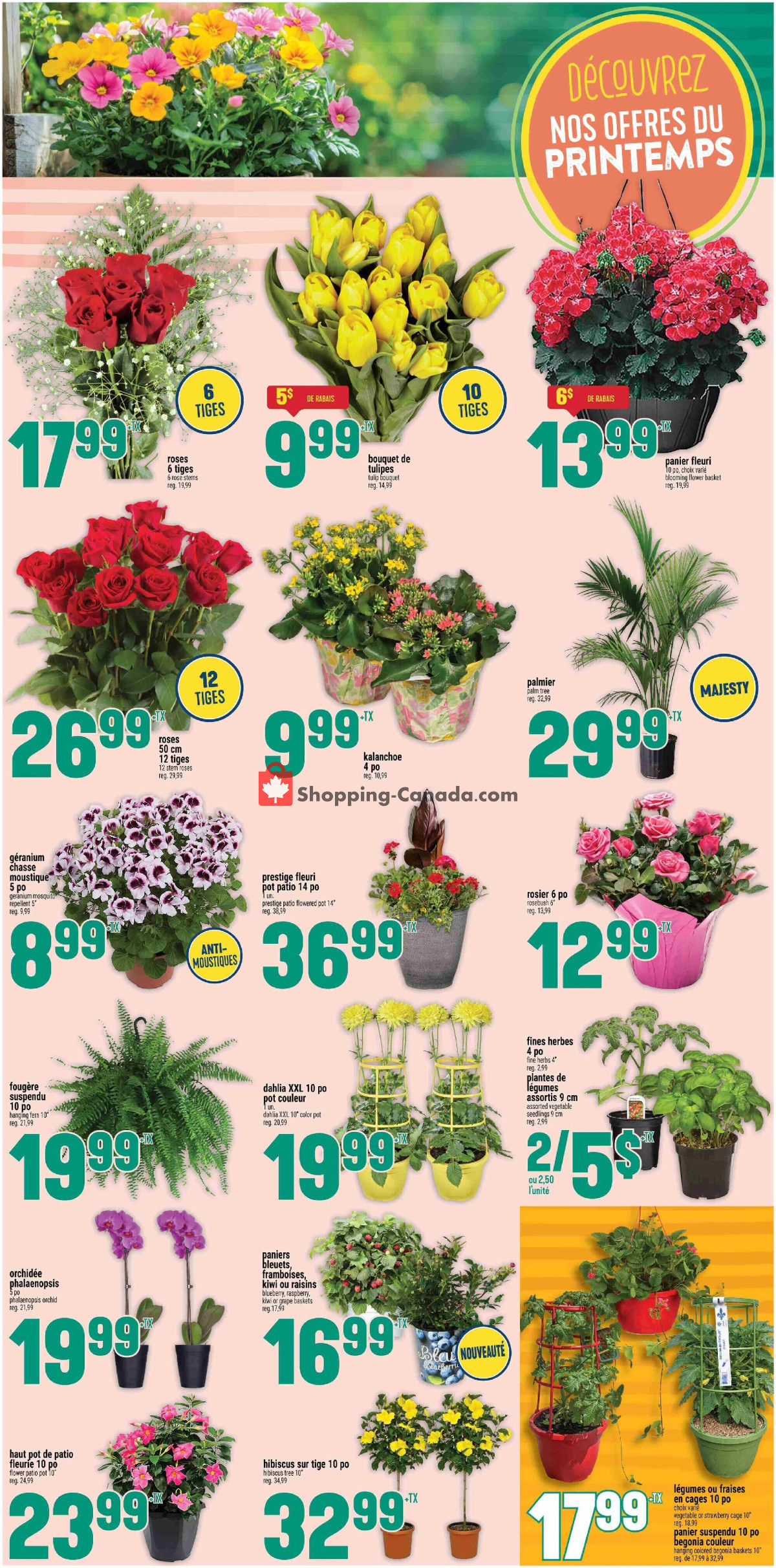 Marché Adonis flyer from Thursday May 7, 2026 to Wednesday May 13, 2026 - page 9