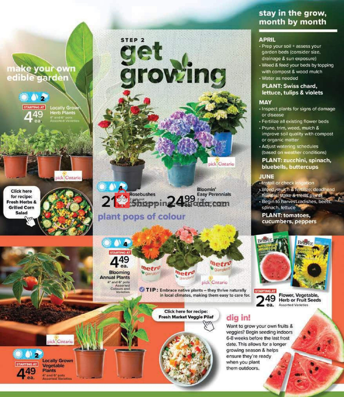 Metro flyer from Thursday April 23, 2026 to Thursday May 28, 2026 - page 3