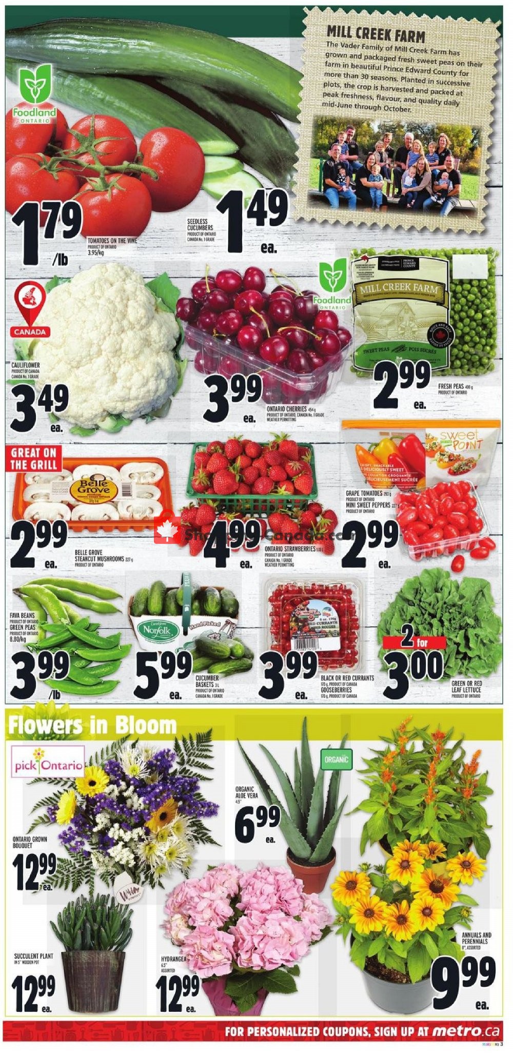 Metro flyer from Thursday July 11, 2019 to Wednesday July 17, 2019 - page 6