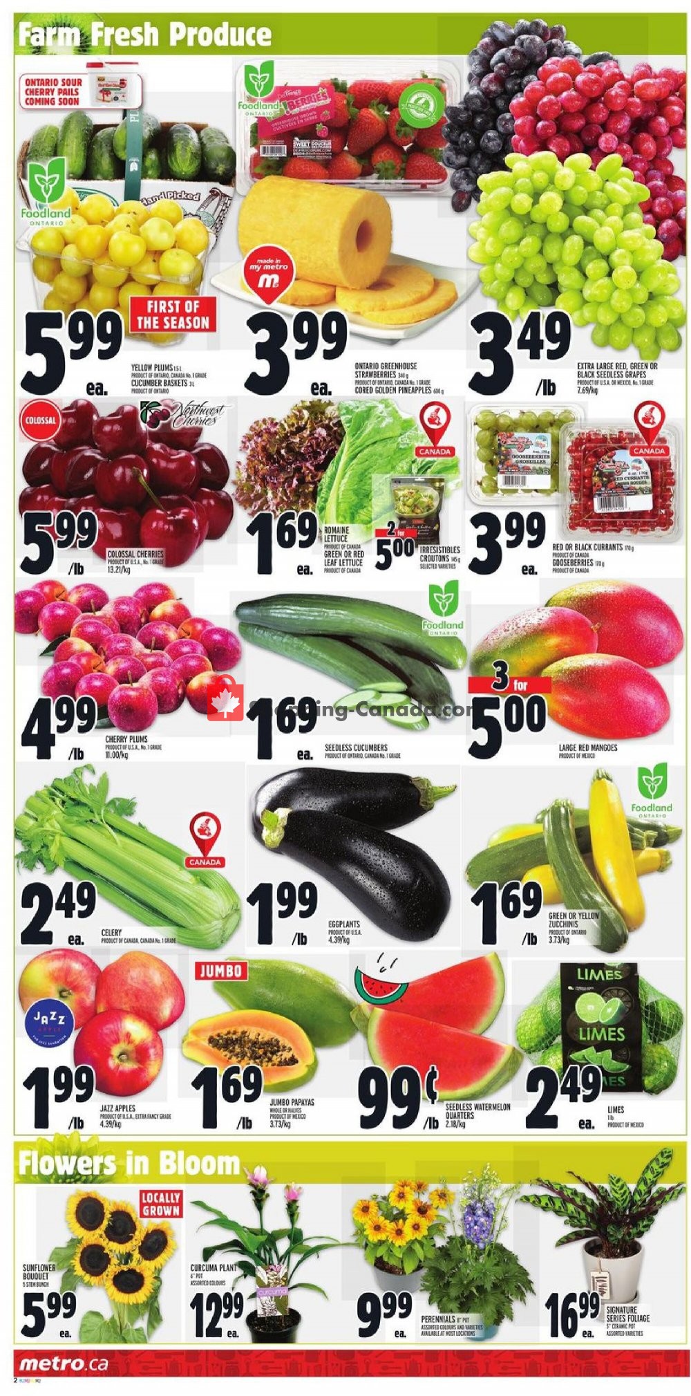 Metro flyer from Thursday July 16, 2020 to Wednesday July 22, 2020 - page 3