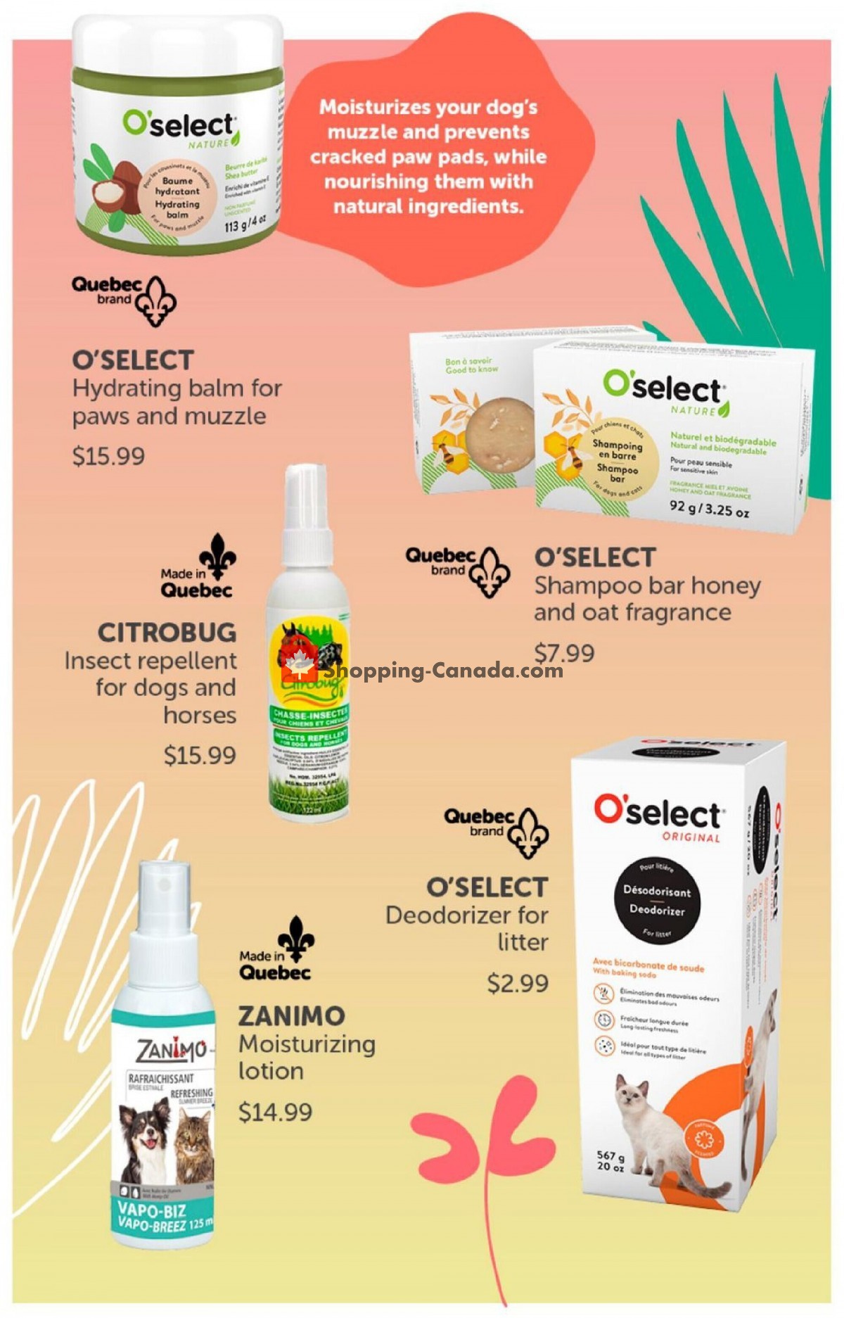 Mondou flyer from Monday June 14, 2021 to Wednesday September 15, 2021 - page 19