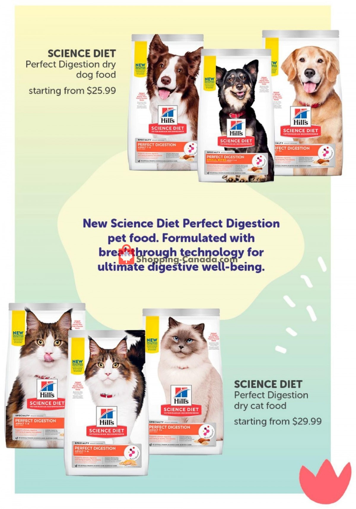 Mondou flyer from Monday June 14, 2021 to Wednesday September 15, 2021 - page 26