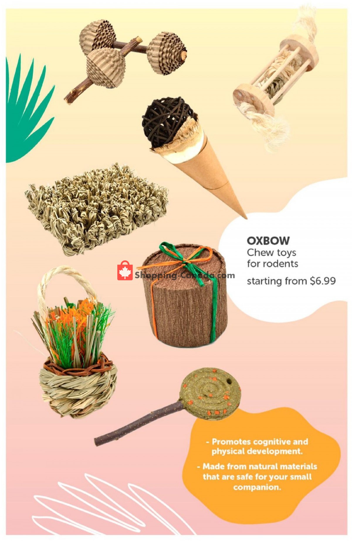 Mondou flyer from Monday June 14, 2021 to Wednesday September 15, 2021 - page 29