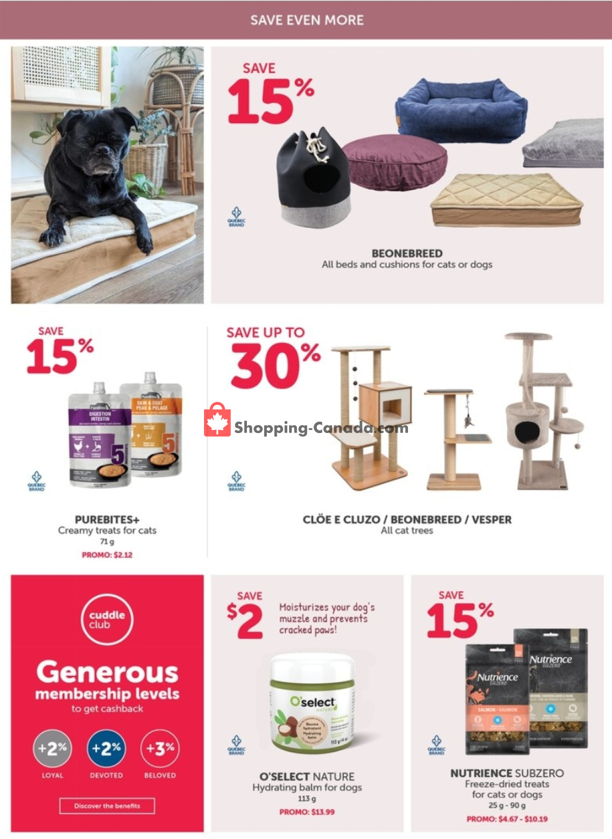 Mondou flyer from Thursday February 1, 2024 to Sunday February 11, 2024 - page 11