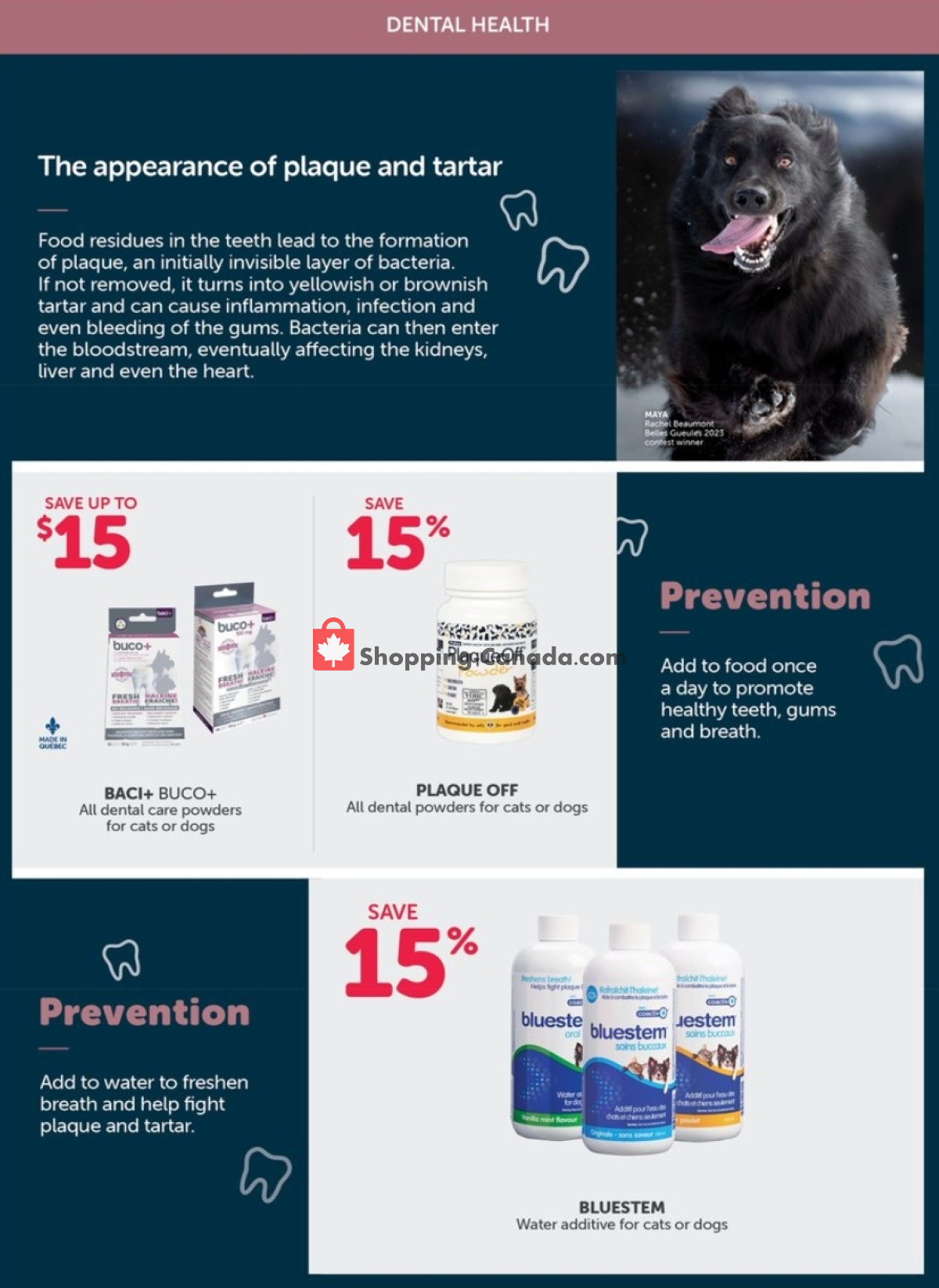 Mondou flyer from Thursday February 1, 2024 to Sunday February 11, 2024 - page 3