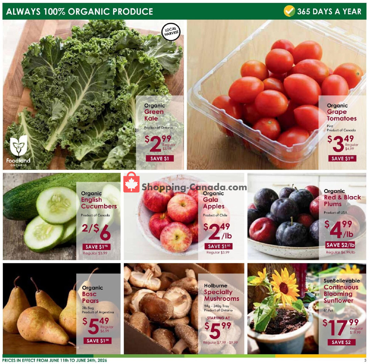 Nature's Emporium flyer from Thursday June 11, 2026 to Wednesday June 24, 2026 - page 3