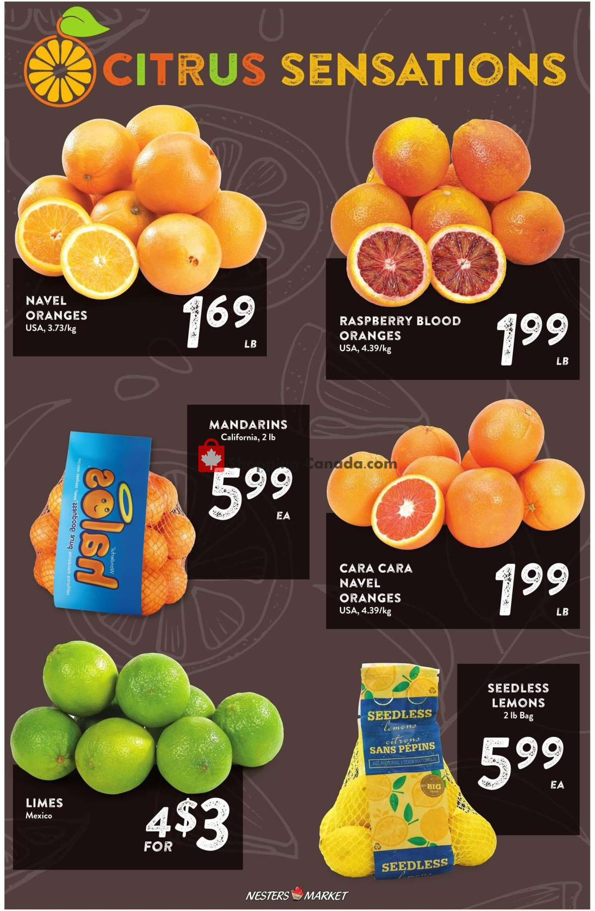Nesters Market Grocery Stores flyer from Thursday January 18, 2024 to Wednesday January 24, 2024 - page 3