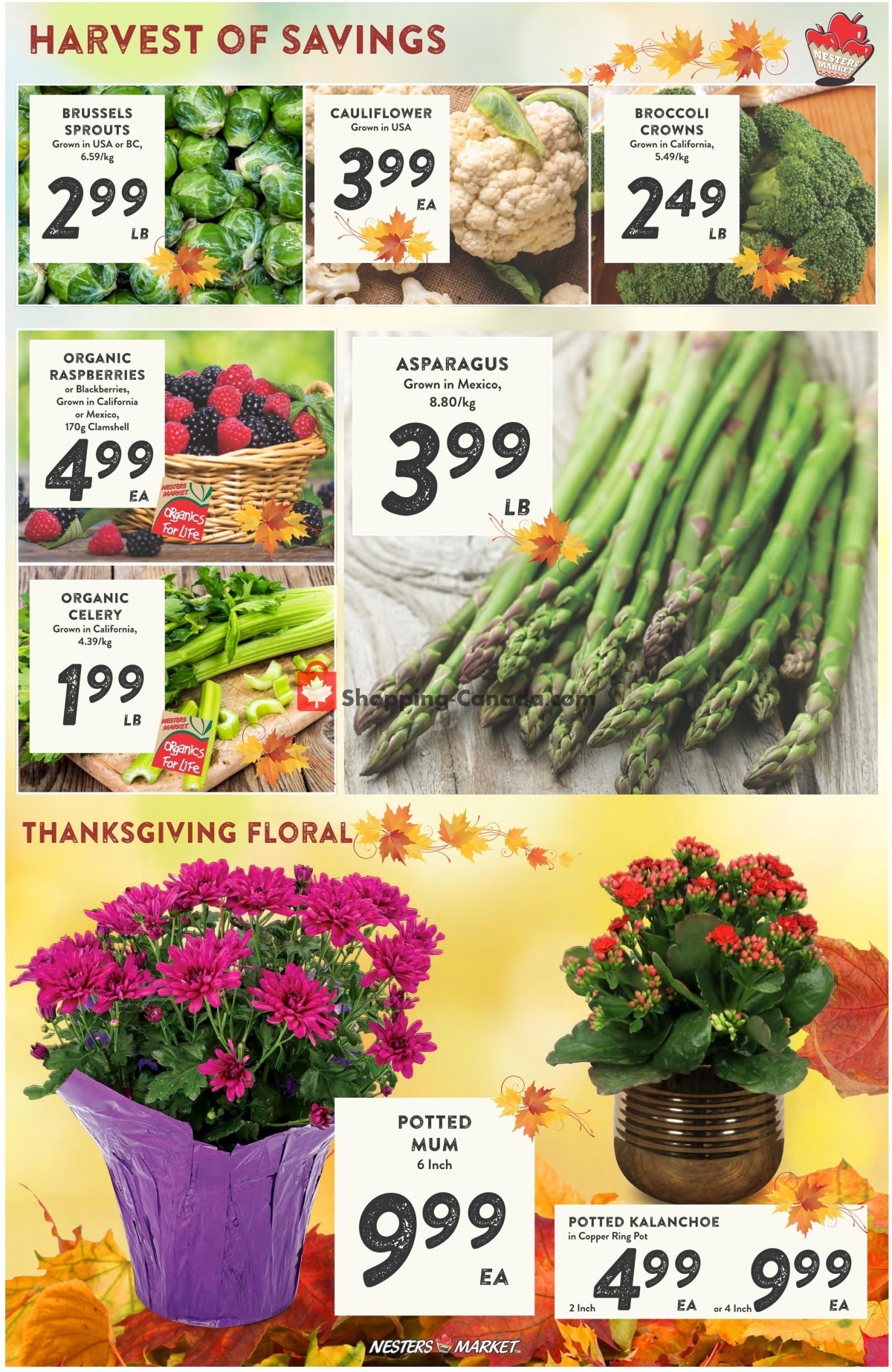 Nesters Market Grocery Stores flyer from Thursday October 5, 2023 to Wednesday October 11, 2023 - page 2