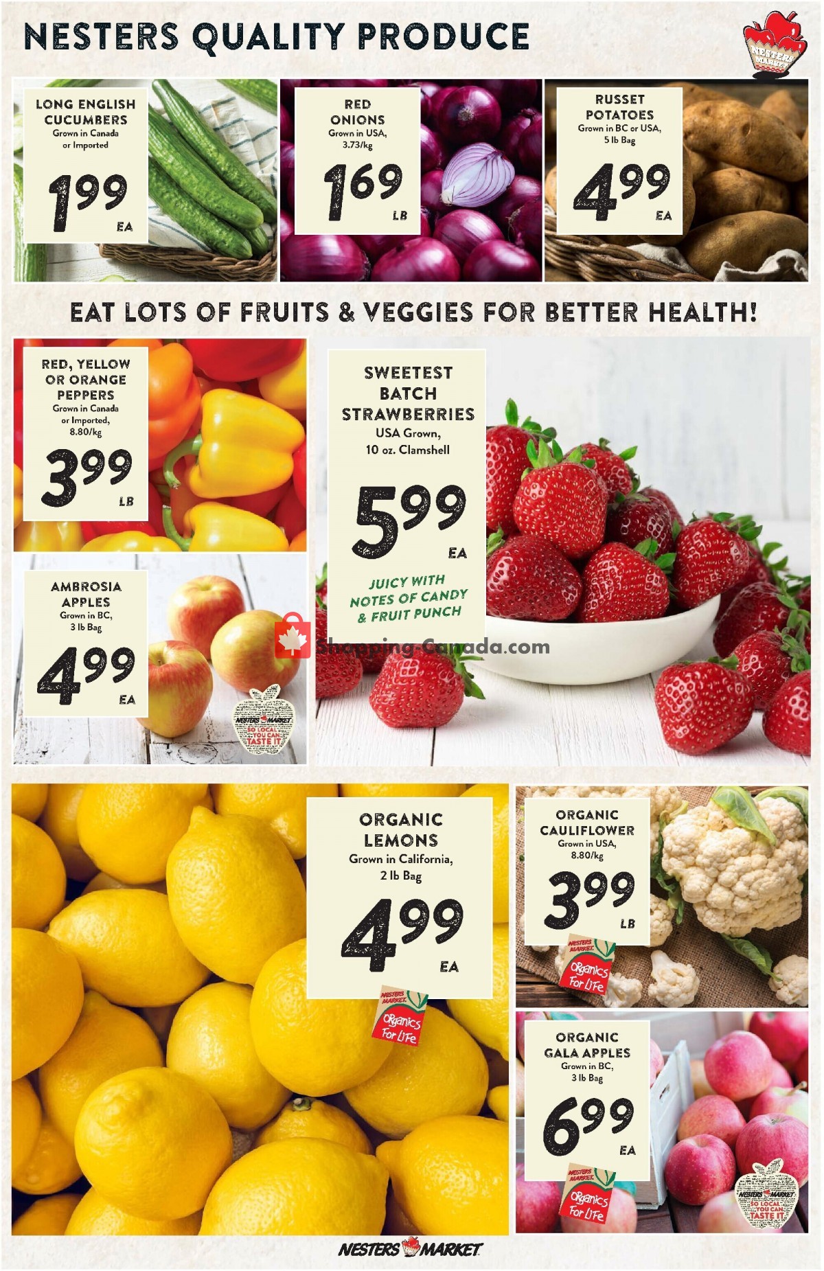 Nesters Market Grocery Stores flyer from Thursday November 23, 2023 to Wednesday November 29, 2023 - page 3