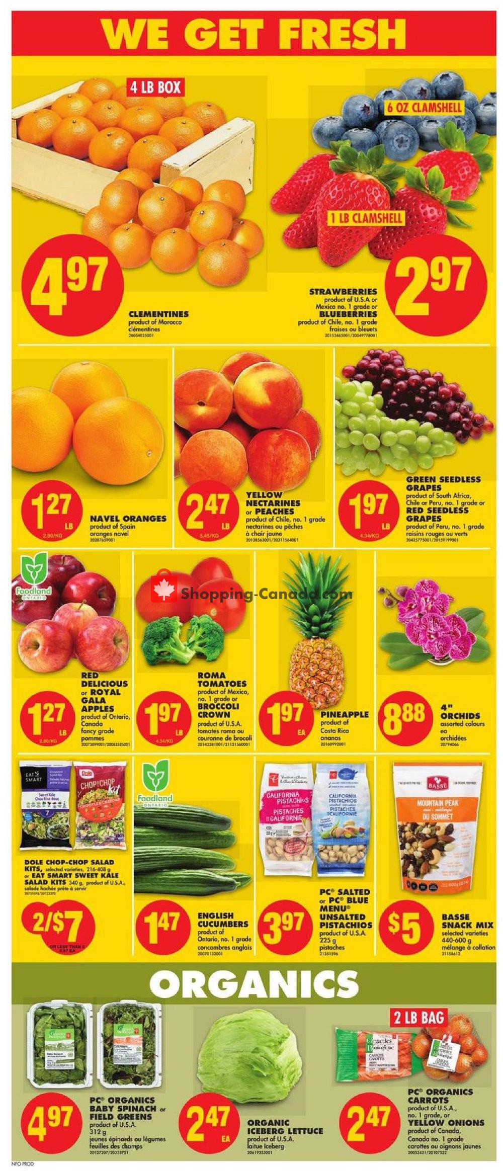 No Frills flyer from Thursday January 21, 2021 to Wednesday January 27, 2021 - page 3