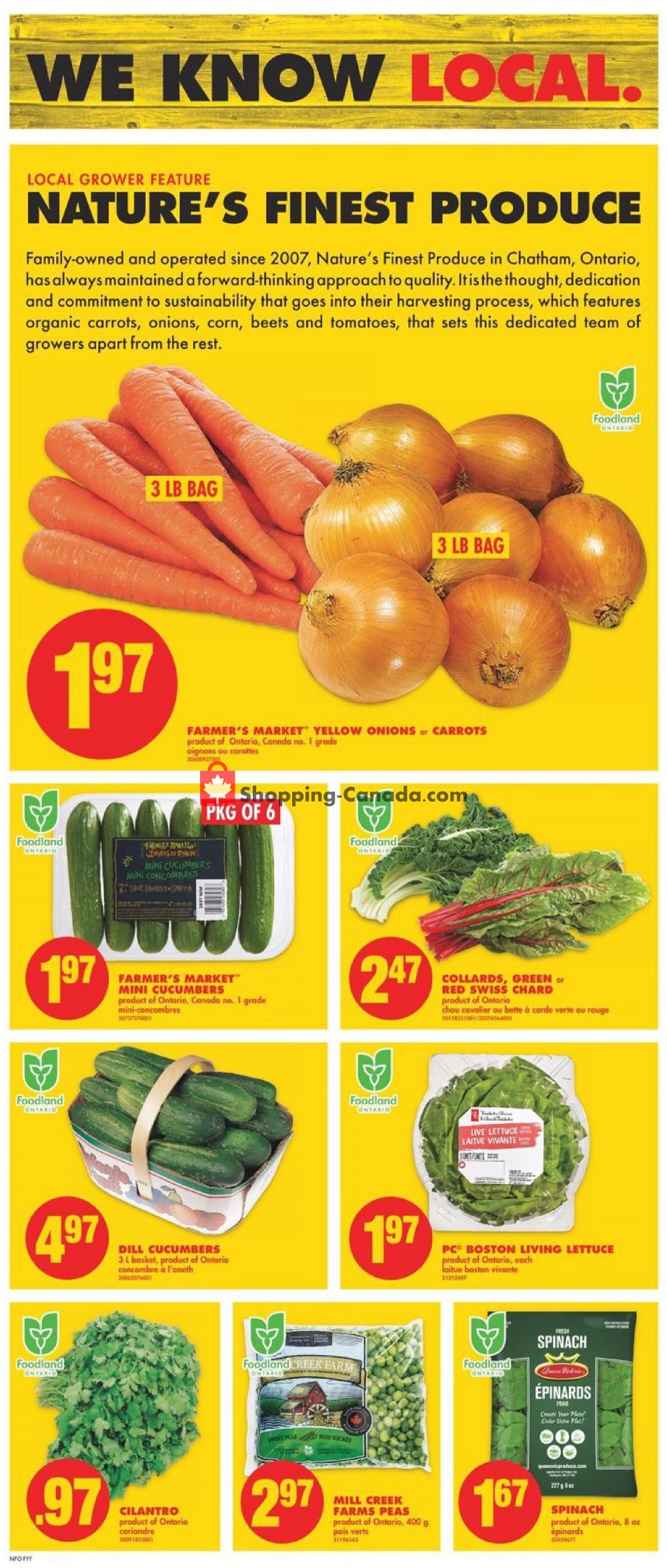 No Frills flyer from Thursday July 9, 2020 to Wednesday July 15, 2020 - page 3