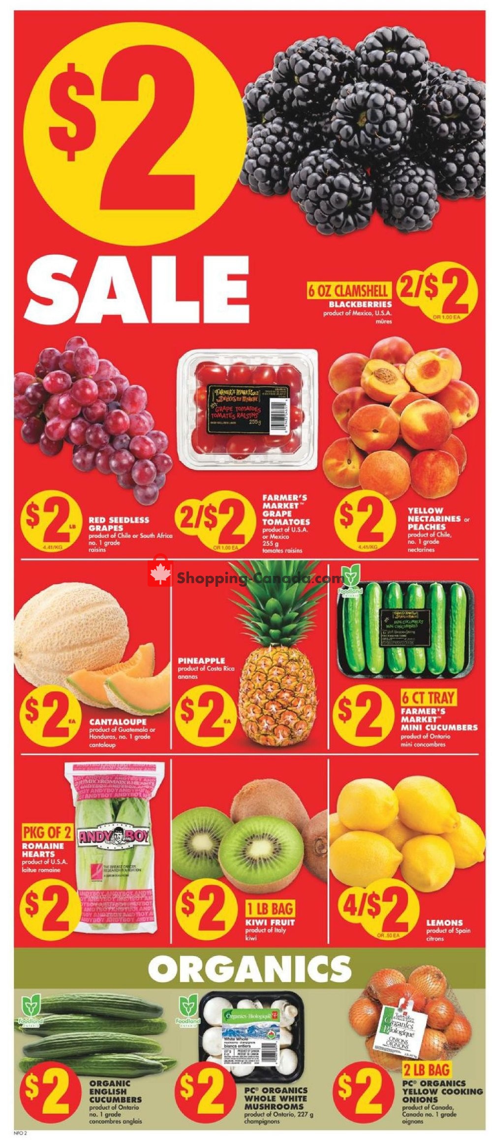No Frills flyer from Thursday March 14, 2019 to Wednesday March 20, 2019 - page 3