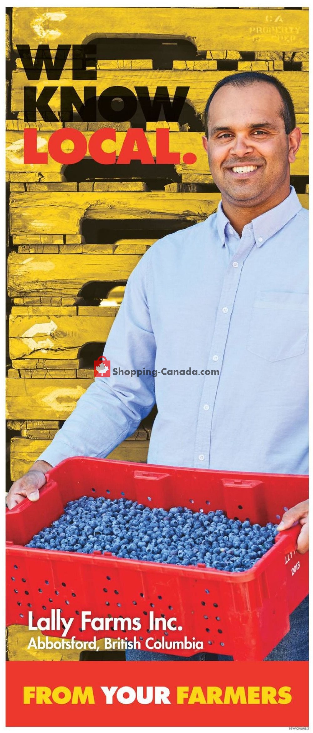 No Frills flyer from Friday July 12, 2019 to Thursday July 18, 2019 - page 8