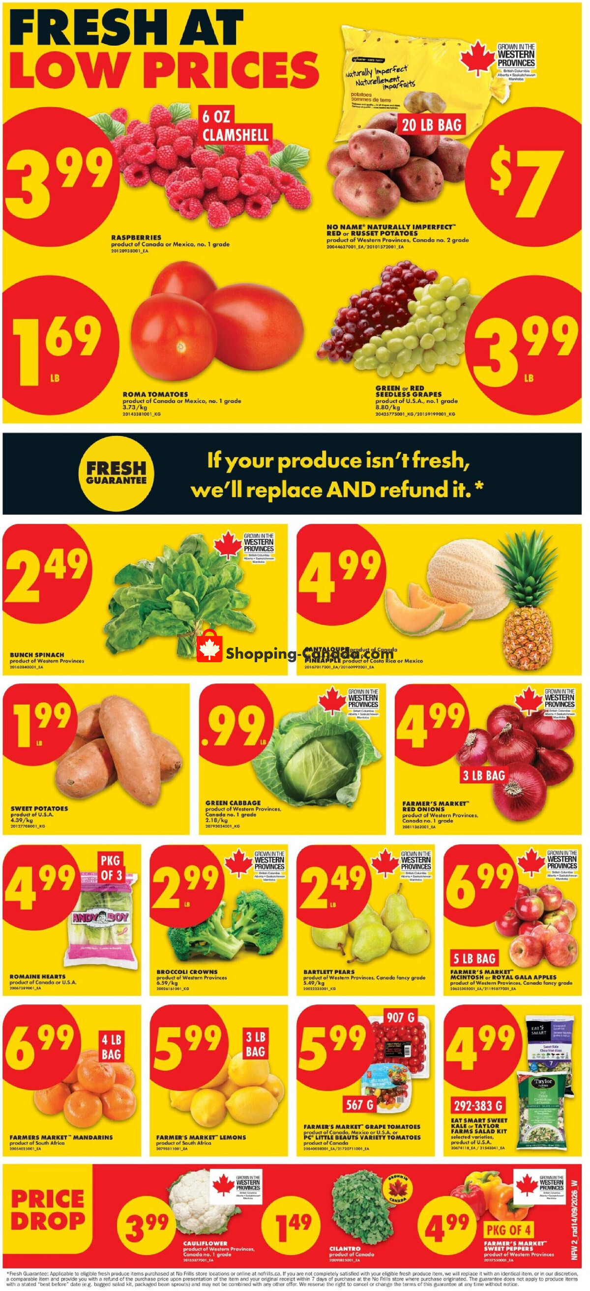 No Frills flyer from Thursday September 17, 2026 to Wednesday September 23, 2026 - page 24