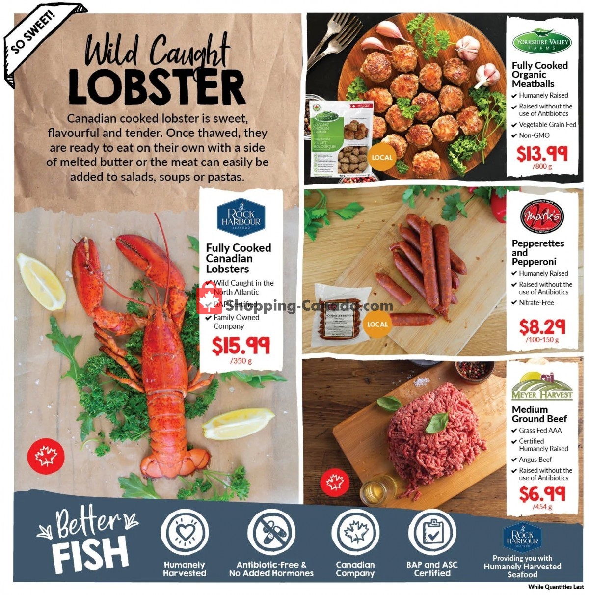 Noah's Natural Foods flyer from Thursday December 22, 2022 to Wednesday January 4, 2023 - page 5