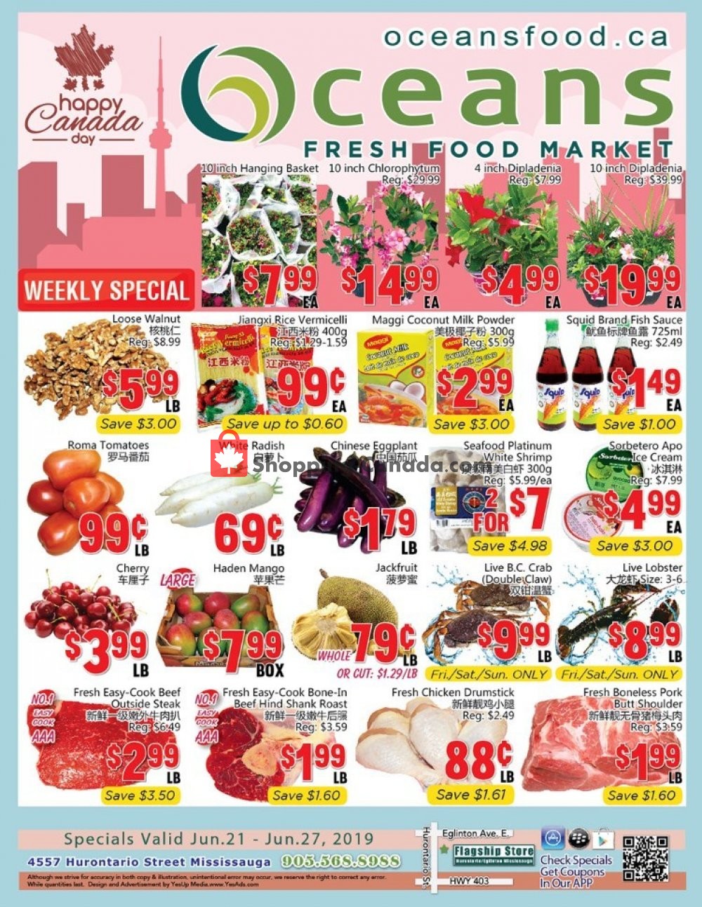 Oceans Fresh Food Market flyer from Friday June 21, 2019 to Thursday June 27, 2019 - page 1