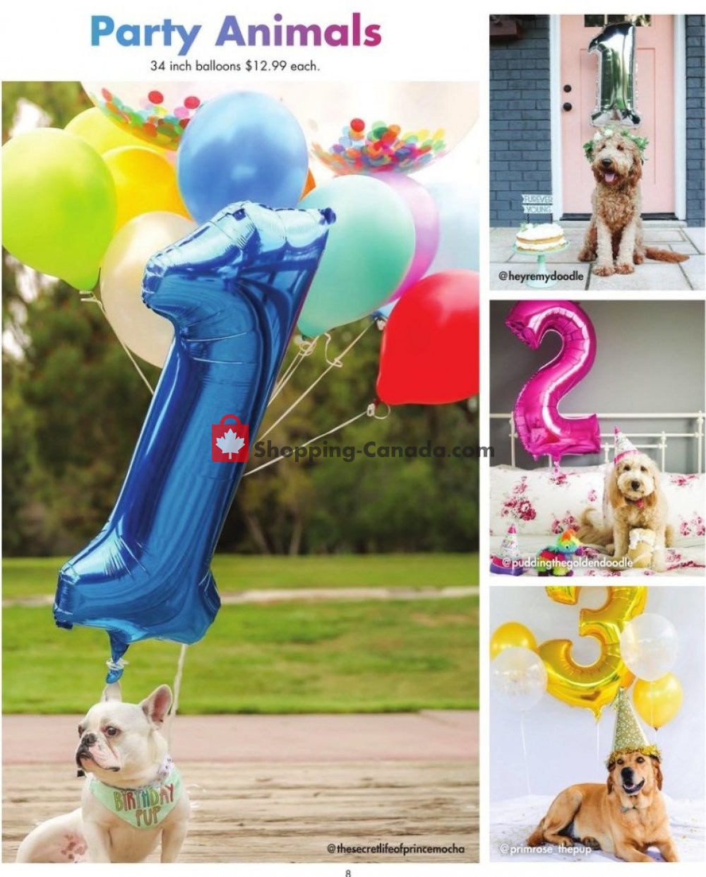Party City flyer from Saturday January 11, 2020 to Friday January 31, 2020 - page 8