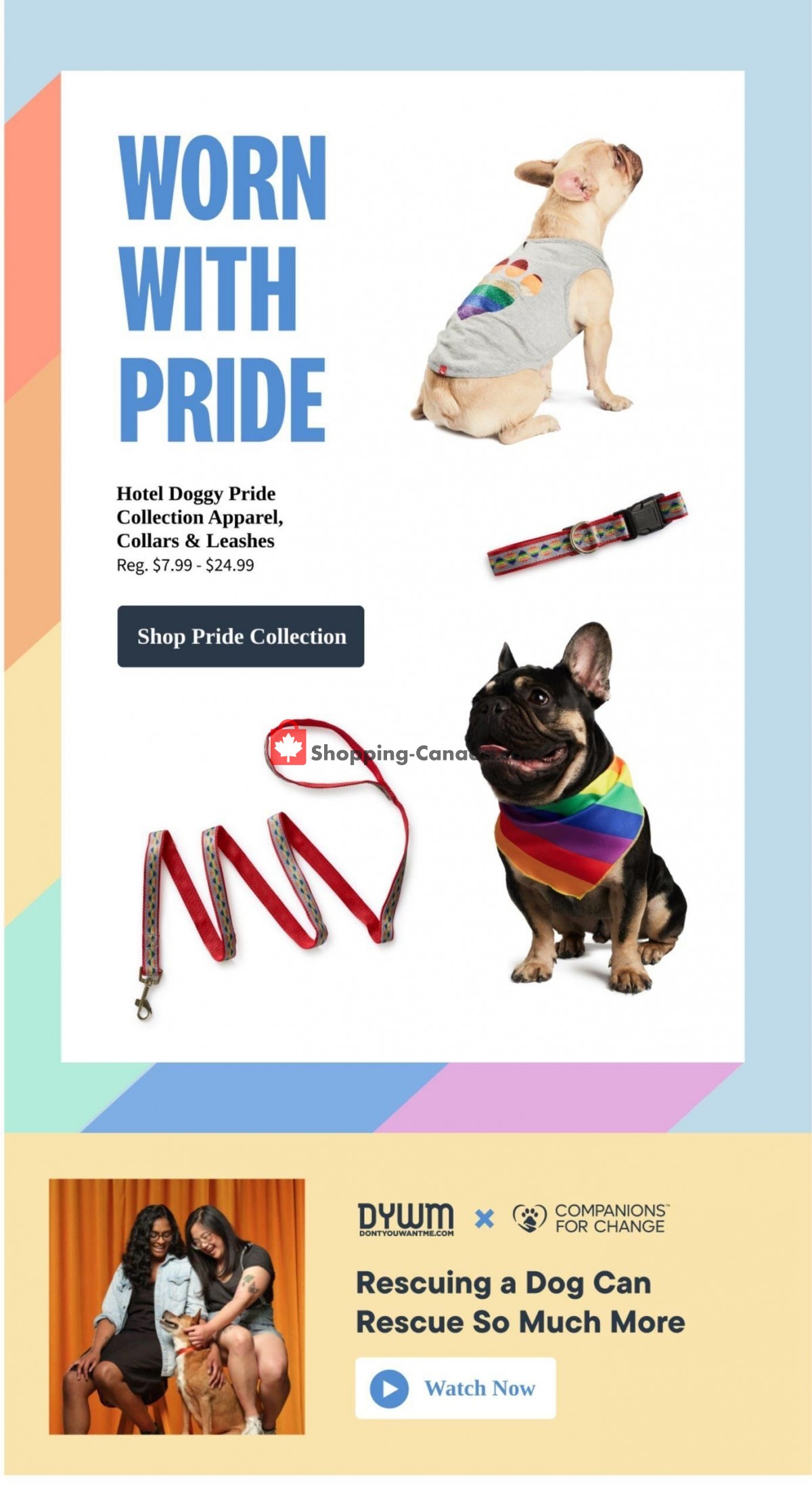 Paulmac's Pets flyer from Thursday May 26, 2022 to Wednesday June 8, 2022 - page 7