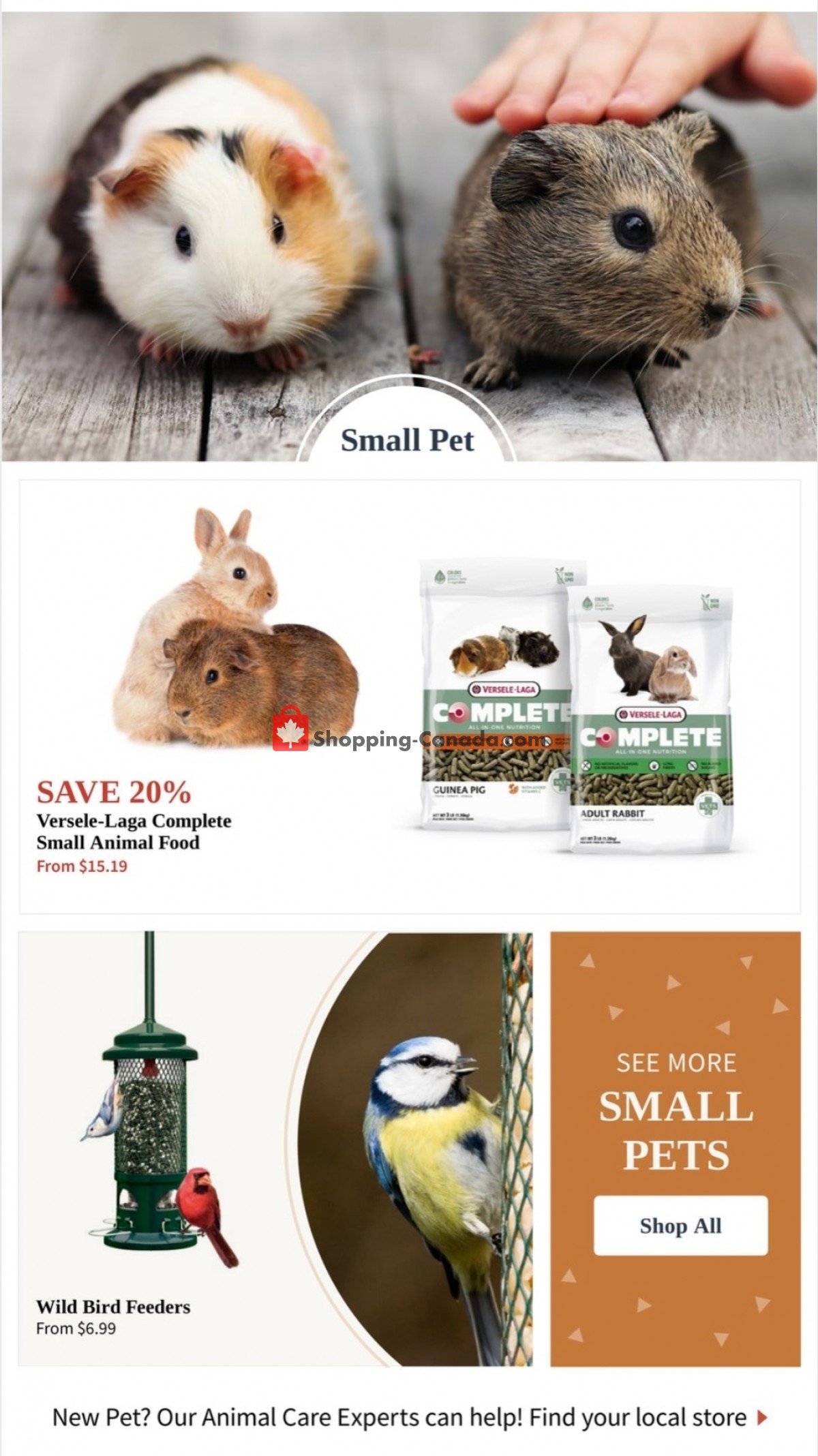 Paulmac's Pets flyer from Thursday October 7, 2021 to Wednesday October 20, 2021 - page 13
