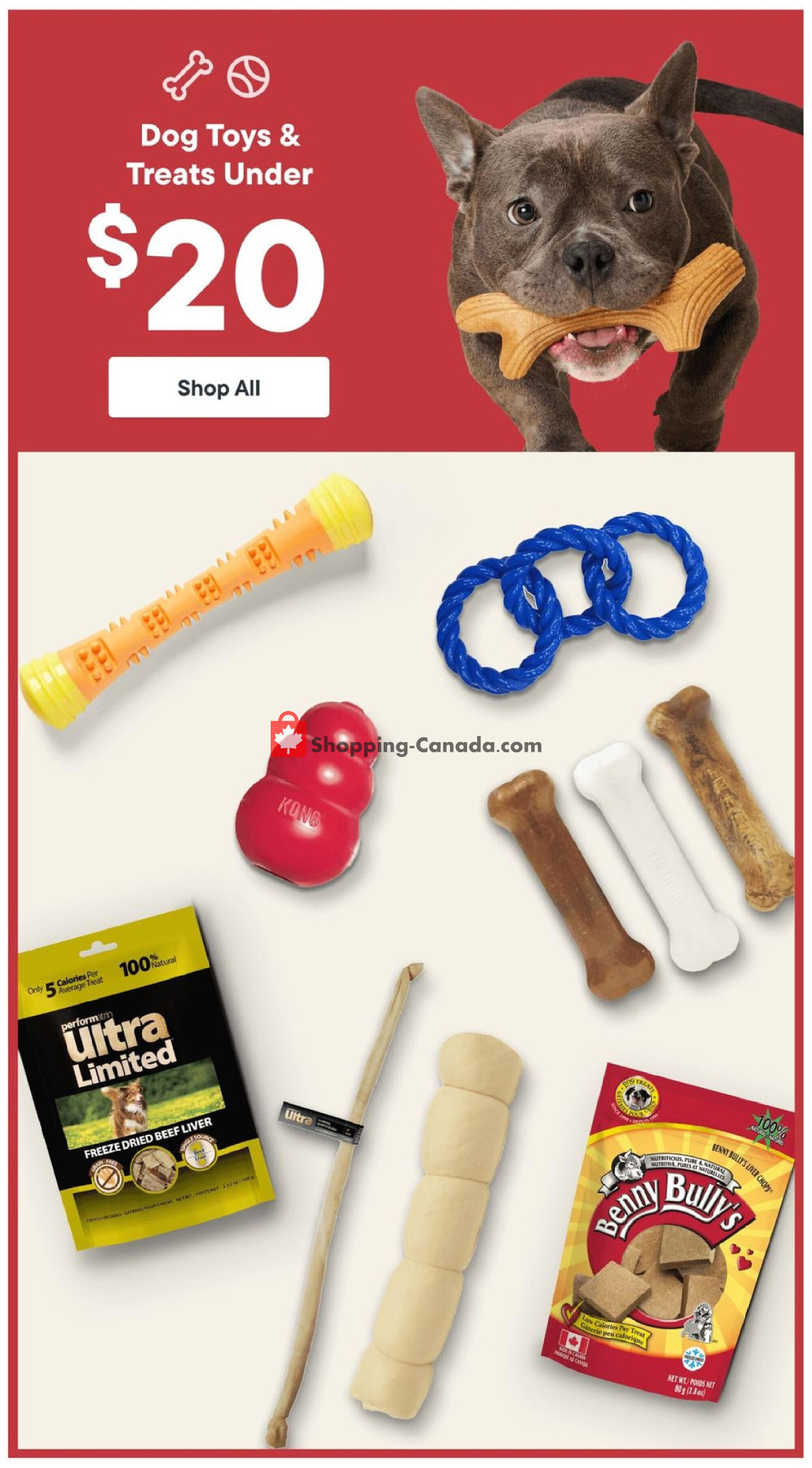 Paulmac's Pets flyer from Thursday February 29, 2024 to Wednesday March 27, 2024 - page 8