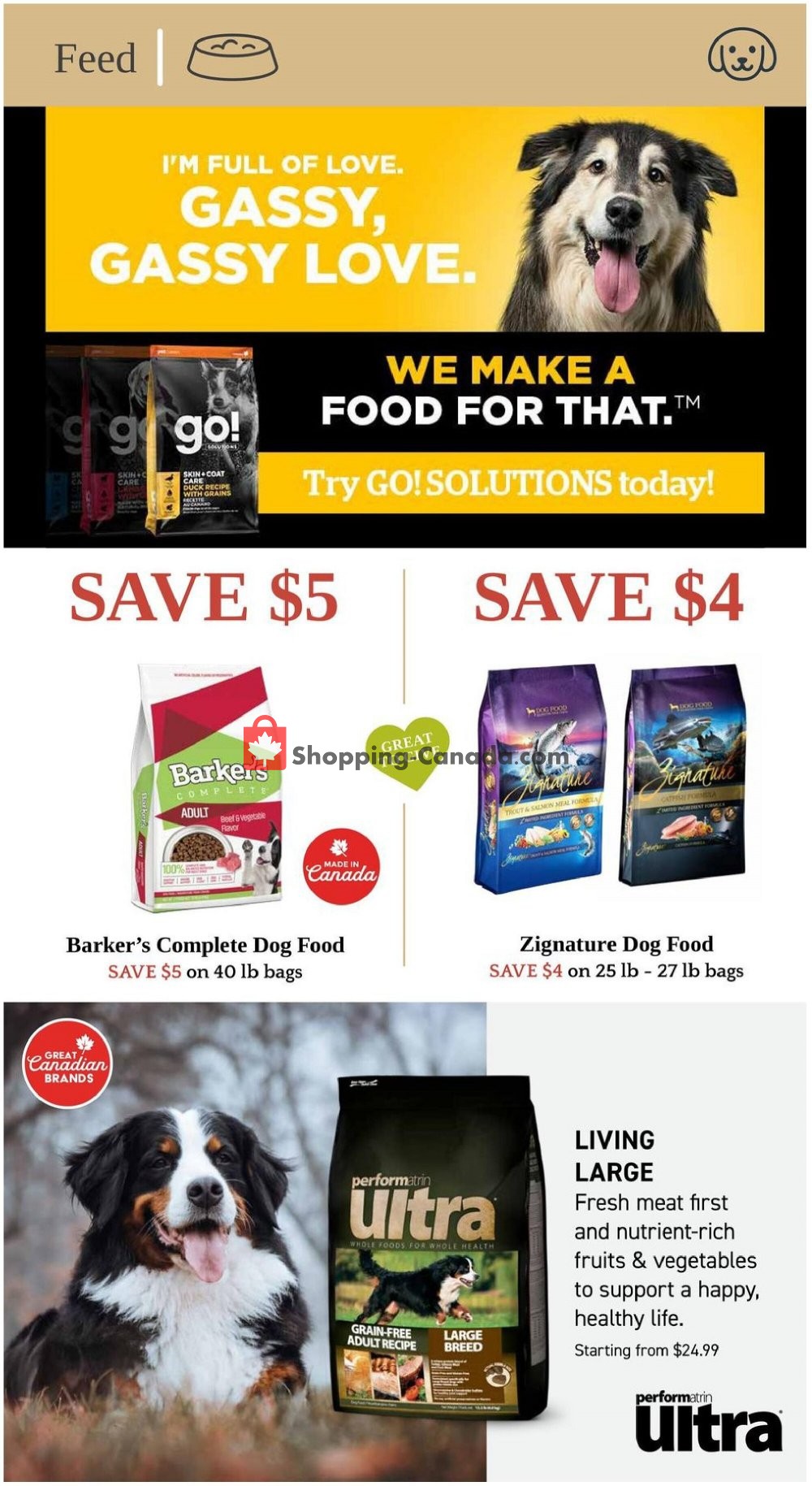Paulmac's Pets flyer from Monday October 12, 2020 to Saturday October 31, 2020 - page 6