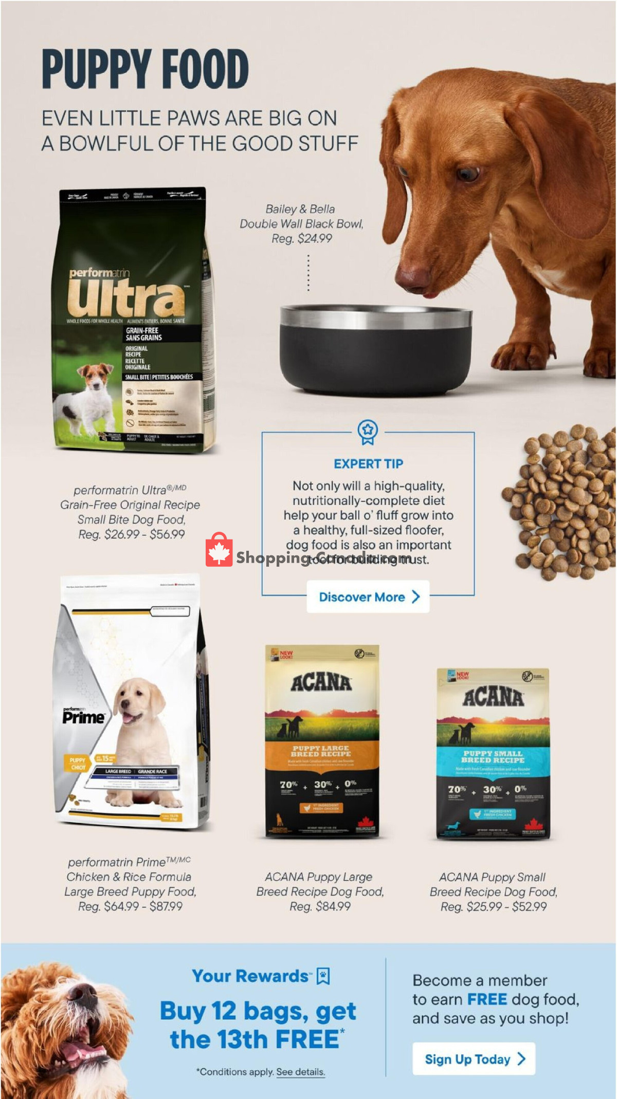 Paulmac's Pets flyer from Tuesday January 2, 2024 to Sunday March 31, 2024 - page 6