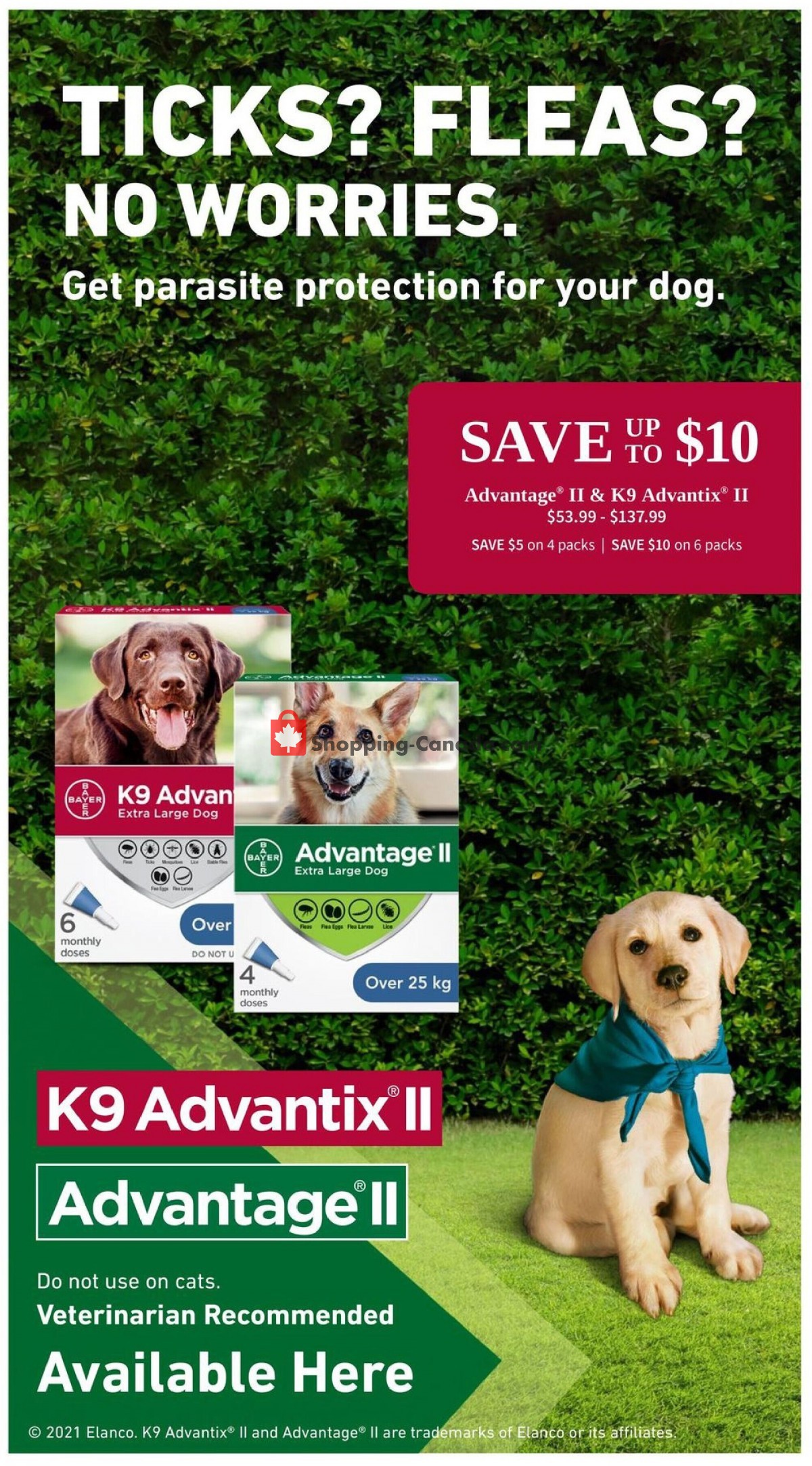 Paulmac's Pets flyer from Thursday May 6, 2021 to Wednesday May 19, 2021 - page 4