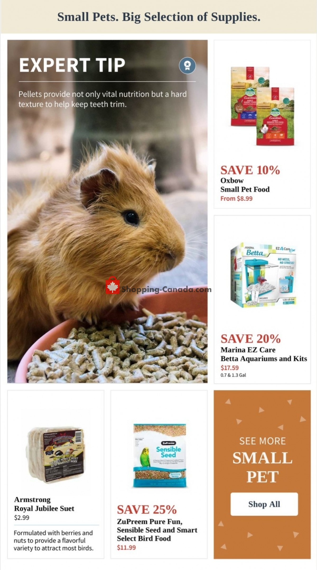 Paulmac's Pets flyer from Thursday September 9, 2021 to Wednesday September 22, 2021 - page 12