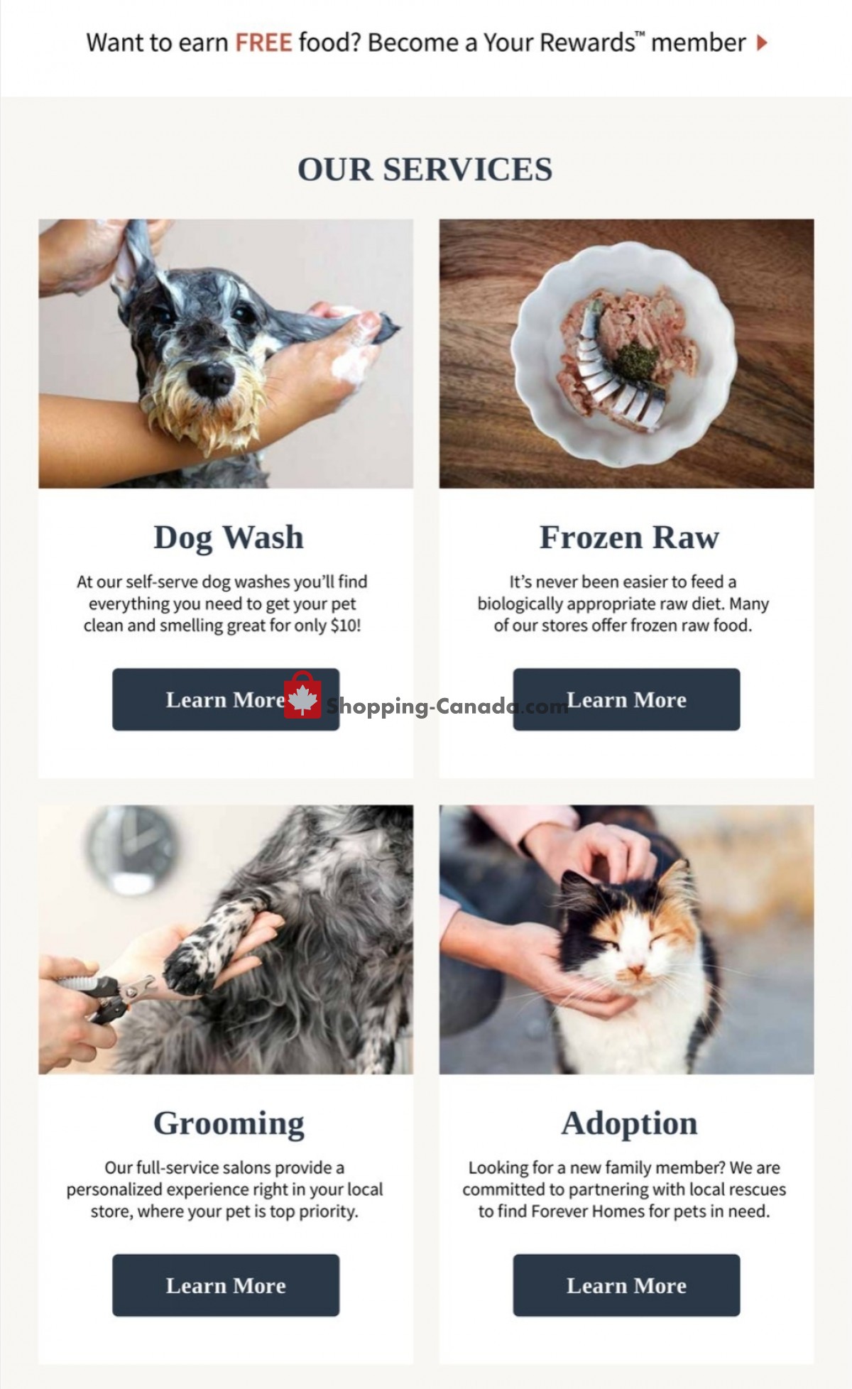 Paulmac's Pets flyer from Thursday September 9, 2021 to Wednesday September 22, 2021 - page 8