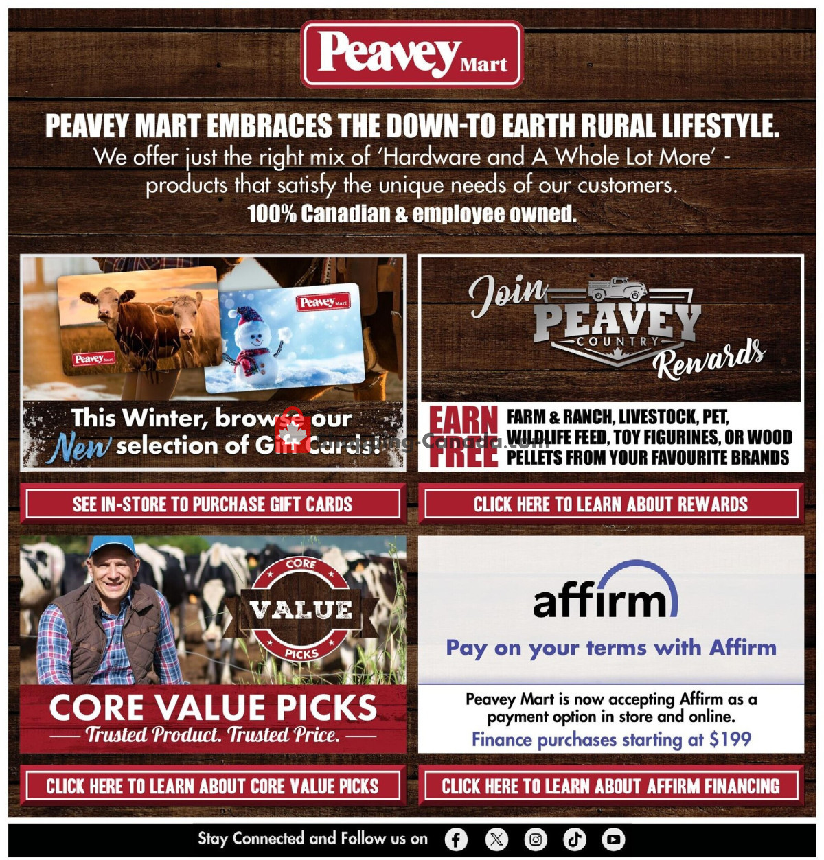 Peavey Mart flyer from Friday December 6, 2024 to Thursday December 12, 2024 - page 17