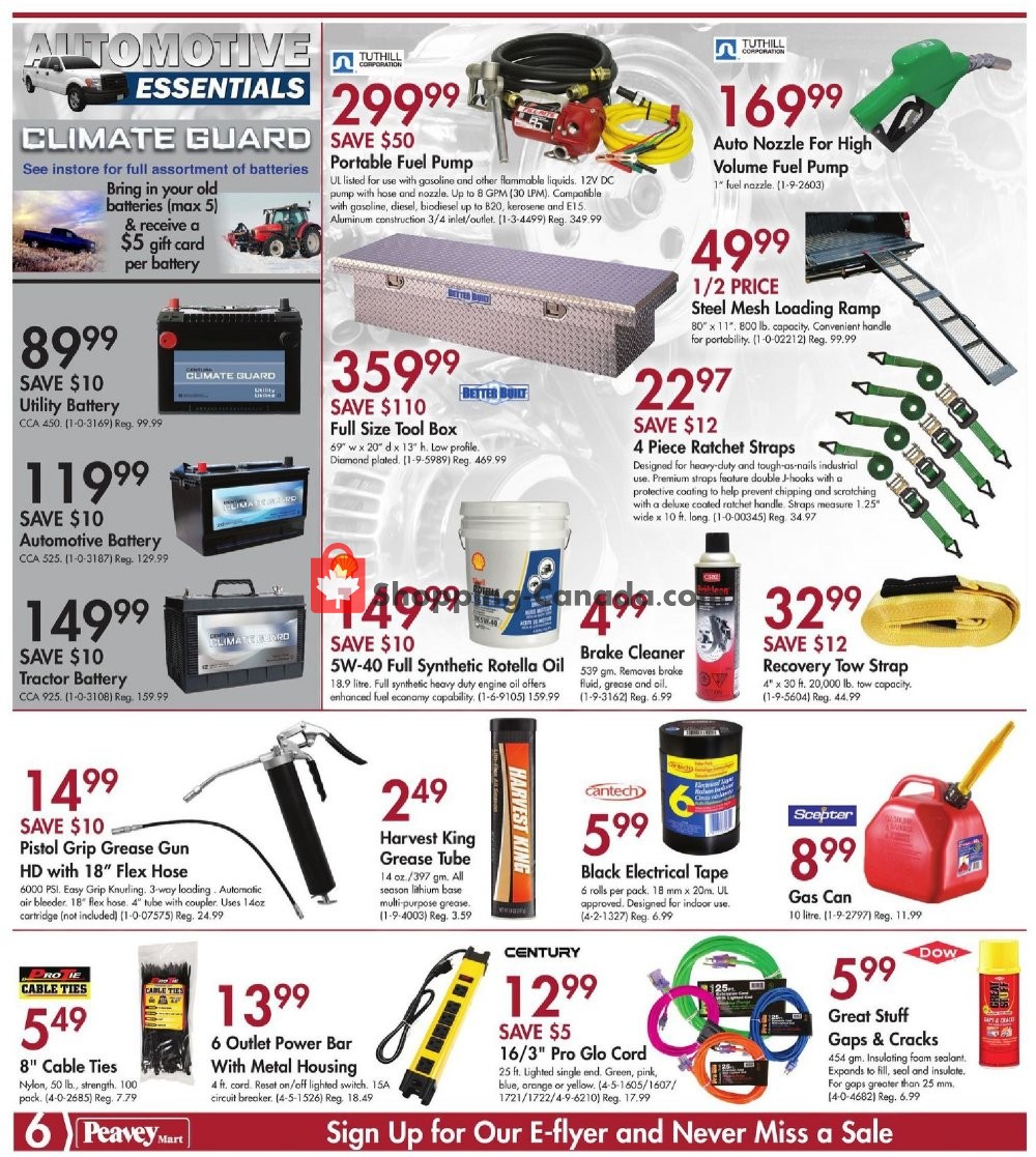 Peavey Mart flyer from Friday March 8, 2019 to Sunday March 17, 2019 - page 6