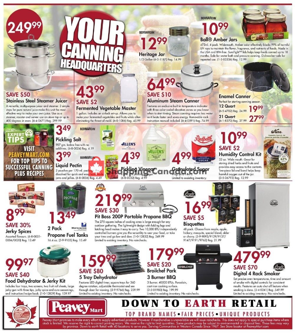 Peavey Mart flyer from Thursday July 9, 2020 to Sunday July 19, 2020 - page 10